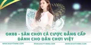 OK88 - Sân chơi cá cược đẳng cấp dành cho dân chơi Việt