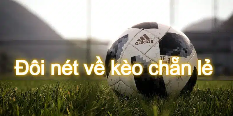 Cách đọc kèo chẵn lẻ