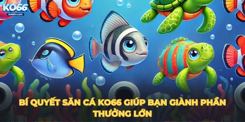 ban-ca-ko66-bi-quyet-san-ca-ko66-giup-ban-gianh-phan-thuong-lon